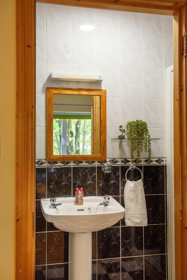 Waterfront Self Catering Houses Carrick on Shannon Extérieur photo